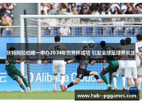 沙特阿拉伯唯一申办2034年世界杯成功 引发全球足球界关注